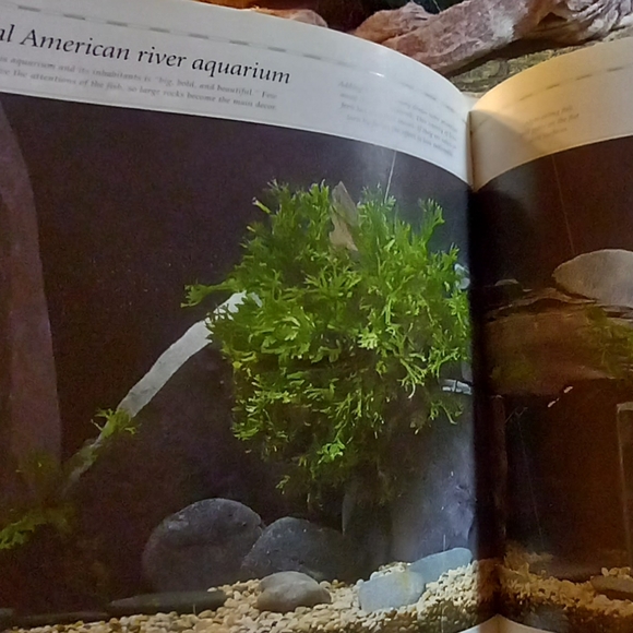Aquarium Designs Inspired by Nature. Hardback - Picture 5 of 14